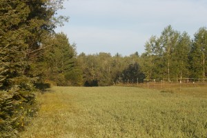 Northern Natural Gas corridor