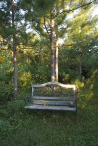 Skogstjarna bench